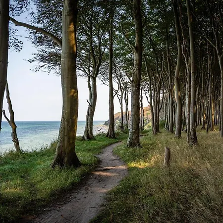Jantar Promenada Ii * Kolobrzeg
